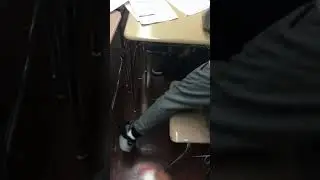 Doo doo