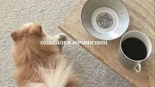разбираем ошибки в итоговом сочинении