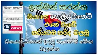 කොරියන් පොලිස් රිපෝට් තත්වය බලමු | korean police report sinhala | Police report online