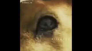YARALA BENI😥
