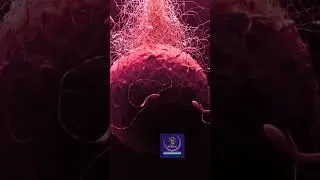 Fertilization- Latest 