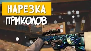 CSGO: -Я люблю вас -Меньше пизди, родной