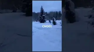 10 октября 2024 г.
