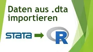 STATA-Dateien in R importieren
