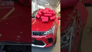 Купил новый Киа Рио Х в максимальной комплектации.