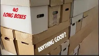DID I BUY A 40 LONG BOX COLLECTION OF COMIC BOOKS
