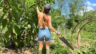Building a Homestead Life | The Good and The Bad