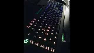 POV:- You Just Got A New Keyboard And Mouse