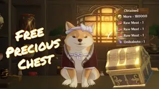 This cute Shiba give you Precious chest in his Teahouse | Genshin Impact Inazuma Secret Chest