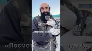 🔴Ищем дом для маленькой вислоухой кошечки❗️
