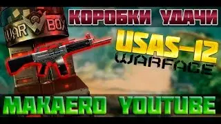 WARFACE USAS-12