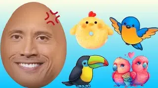 The Names Of Birds 🐦🦩🦆🦢🐓🐤 | Have Fun | BIRDS FOR KIDS