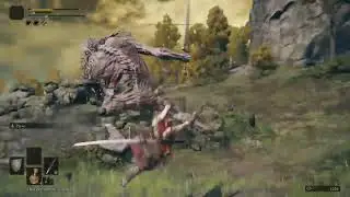 ELDEN