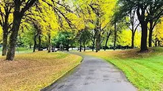 သပ္ပါဲ၊ ဍုဟ်ဟွံမာန် (ကဝးဒွက်ယဝ်ဂွံပိုၚ်)