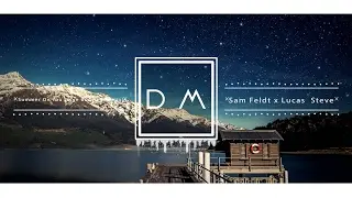 [FUTURE HOUSE] Sam Feldt x Lucas & Steve - Summer On You (Jyye Bootleg Remix)