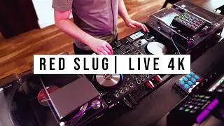 Happy, upbeat and bouncy house music | Red Slug Music 4K Live Stream | June 2023