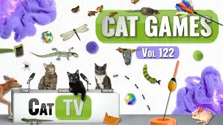 CAT Games | Ultimate Cat TV Compilation Vol 122 | 8 HOURS  🐝🐞🦋🦎🦜🐜🐭🧵