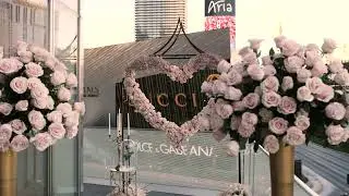 Most Romantic Proposal in Las Vegas | MUST WATCH
