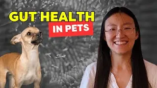 Dr. Yvonne Wang: Glucans in pet food