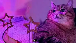 как всегда) не смотрим