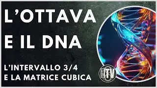 L'Ottava e il DNA - Ottava TV