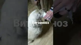 27 марта 2023 г.