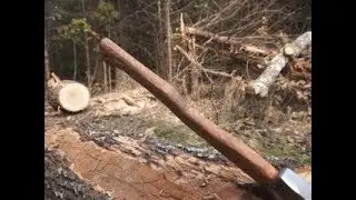Splitting a tree trunk into usable staves