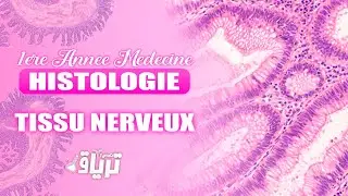 #HISTOLOGIE 1ère année - TMC CAMP : TISSU NERVEUX | By Rania