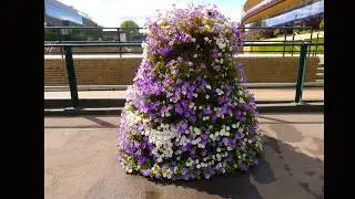 Wimbledon, The Championships - London
