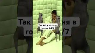 #юмор#тренды#психушка