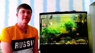 Аквариум 120 литров