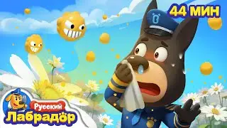 🌺Не трогайте дикие растения! | 🐛Опасность в жизни | 🔍Сборник мультиков для детей | Шериф Лабрадор
