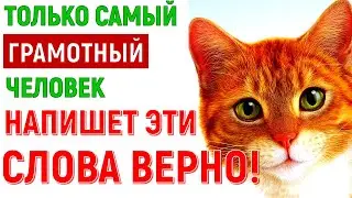 ТОЛЬКО УМНЫЙ ЧЕЛОВЕК ОТВЕТИТ НА ВСЕ ВОПРОСЫ ВЕРНО! ОТЛИЧНИК СПРАВИТСЯ НА РАЗ-ДВА 