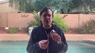 Minute Long Snack Review: Peanut Butter and Cookies and Cream Kit Kats