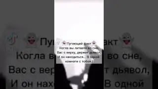 Факт
