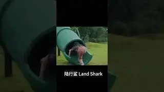Shark comes to land to chase little girl! #Thriller #Disaster #shorts