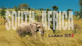 Lumix S5II - LAST ONES (South Africa)