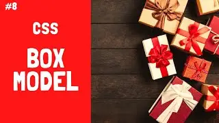 LEARN CSS BOX MODEL IN 15 MINUTES - CSS  TUTORIAL  FOR BEGINNERS #8