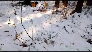 СЕВЕР - РАДУЕТСЯ!!! 