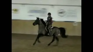 Sharkan Springtraining