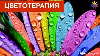 “КАК ВЫ ОТНОСИТЕСЬ К ЦВЕТОТЕРАПИИ ДЛЯ ВОССТАНОВЛЕНИЯ ЗРЕНИЯ ❓”