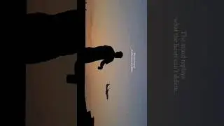 silhouette video shot on Galaxy S20 FE 5g #s20fe
