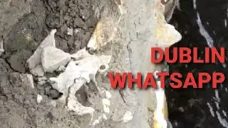 MAN FINDS REMAINS IN THE BANK OF THE JACKO