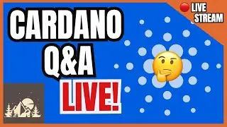 Hydra on mainnet | NMKRPay | Kraken halts ACH - Cardano Q&A Live Stream!