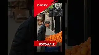 Fotomax Open Air 2023 🥳 Kostenlose Fotowalks