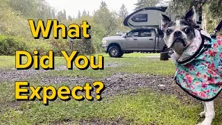 Into The Rain Forest: Olympic National Park Adventures