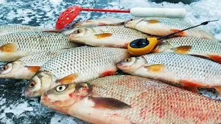 ПЛОТВА НА МОРМЫШКУ ИЗ ТРЮМА УТОПЛЕННИКА