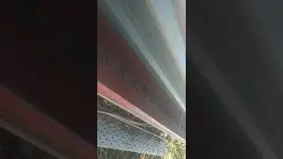 Зерно травяная сеилка.
