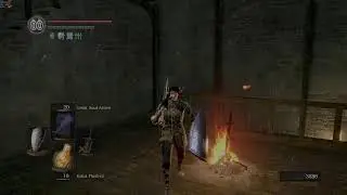 Dark Souls int run