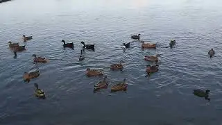 Nature beauty